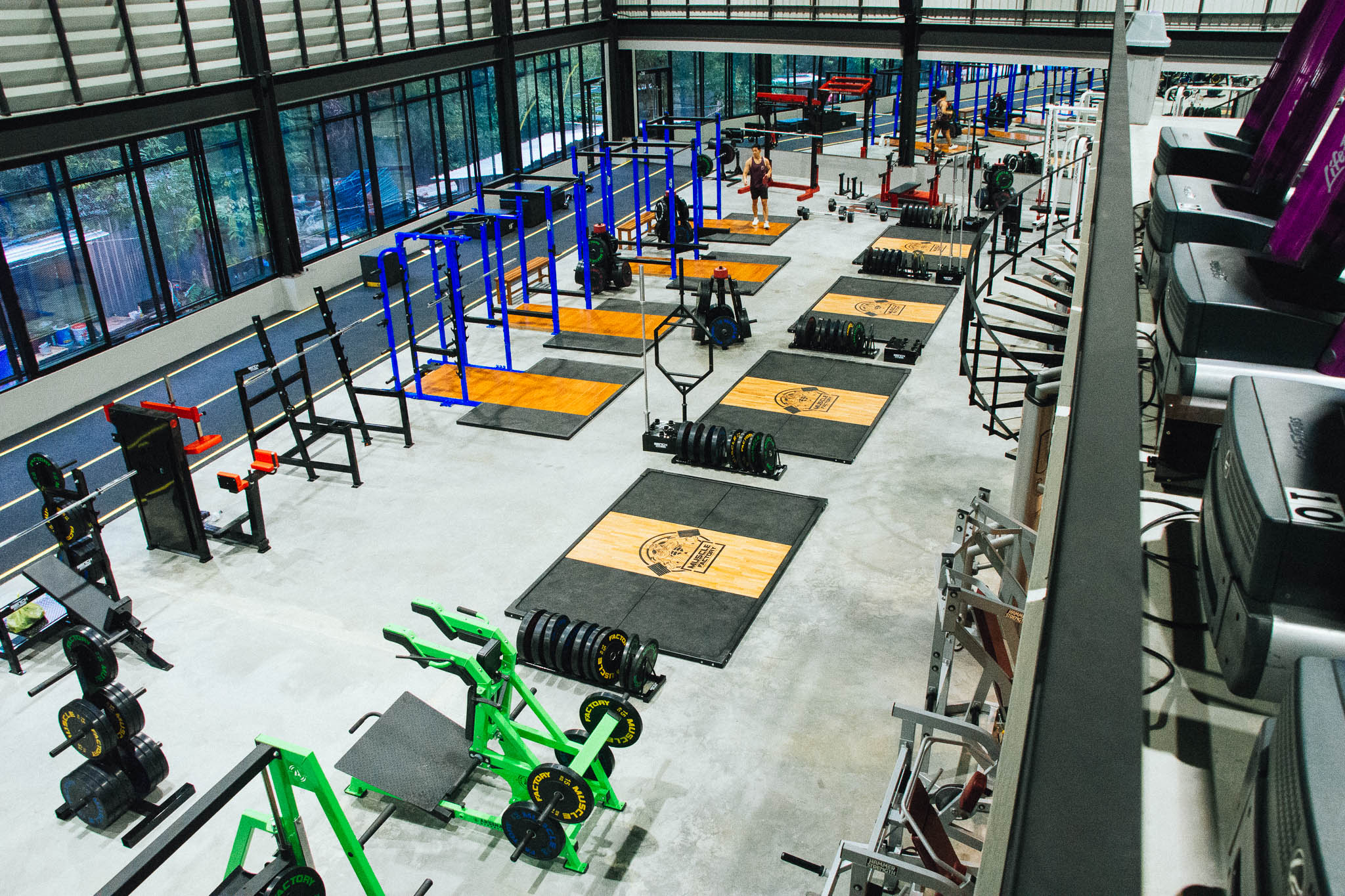 Muscle Factory Hardcore Training Gym muscle-factory-hardcore-training-gym